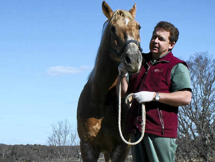 Dr Chris Reardon of Warwick Vet Clinic is pleased to hear there will be a hendra vaccine by Christmas. Dr Chris Reardon of Warwick Vet Clinic is pleased to hear there will be a hendra vaccine by Christmas.